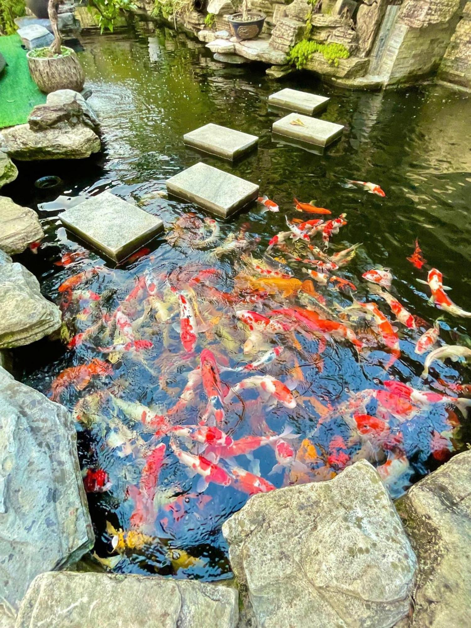 Chuon Chuon Villa Homestay Tam Dao ภายนอก รูปภาพ