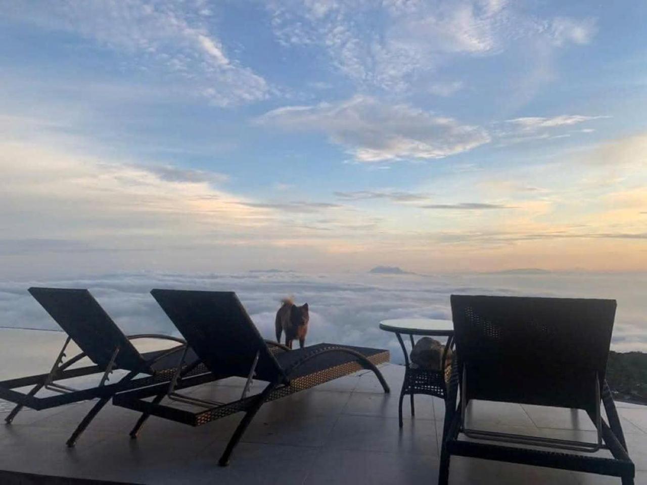 Chuon Chuon Villa Homestay Tam Dao ภายนอก รูปภาพ
